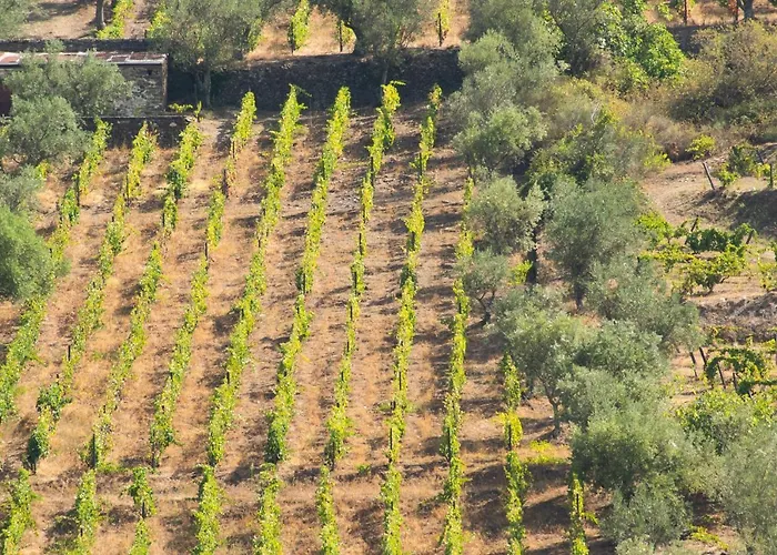 Quinta Dos Padrinhos - In The Heart Of The Douro Daire