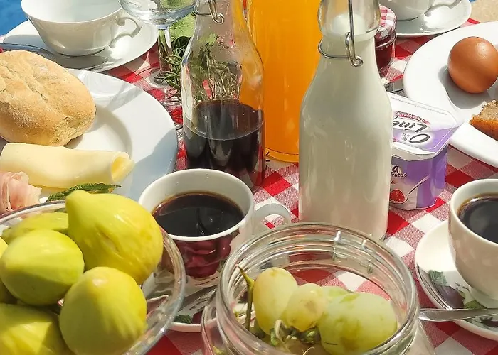 Quinta Dos Padrinhos - In The Heart Of The Douro * Lamego